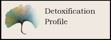 Detoxification Profile 