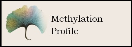 Methylation  Profile 